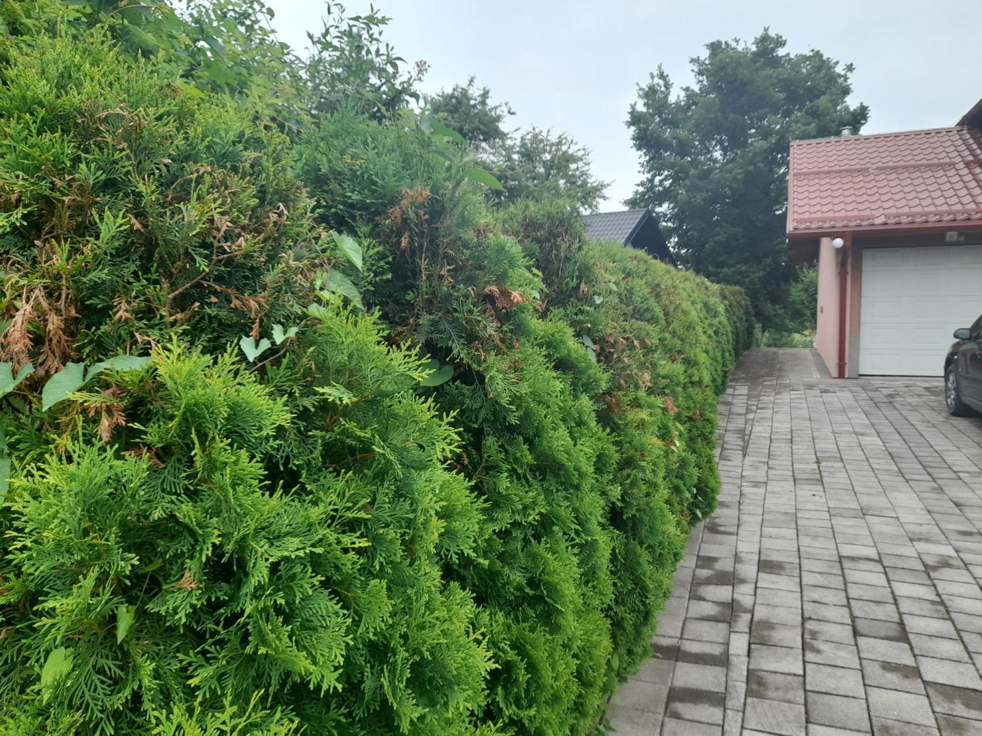 Villa Usivak For Green Quiet Holiday Near Sarajevo#Travellerawards2025 Saraievo Exterior foto